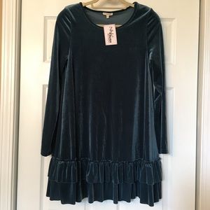 easel Velour Dress NWT